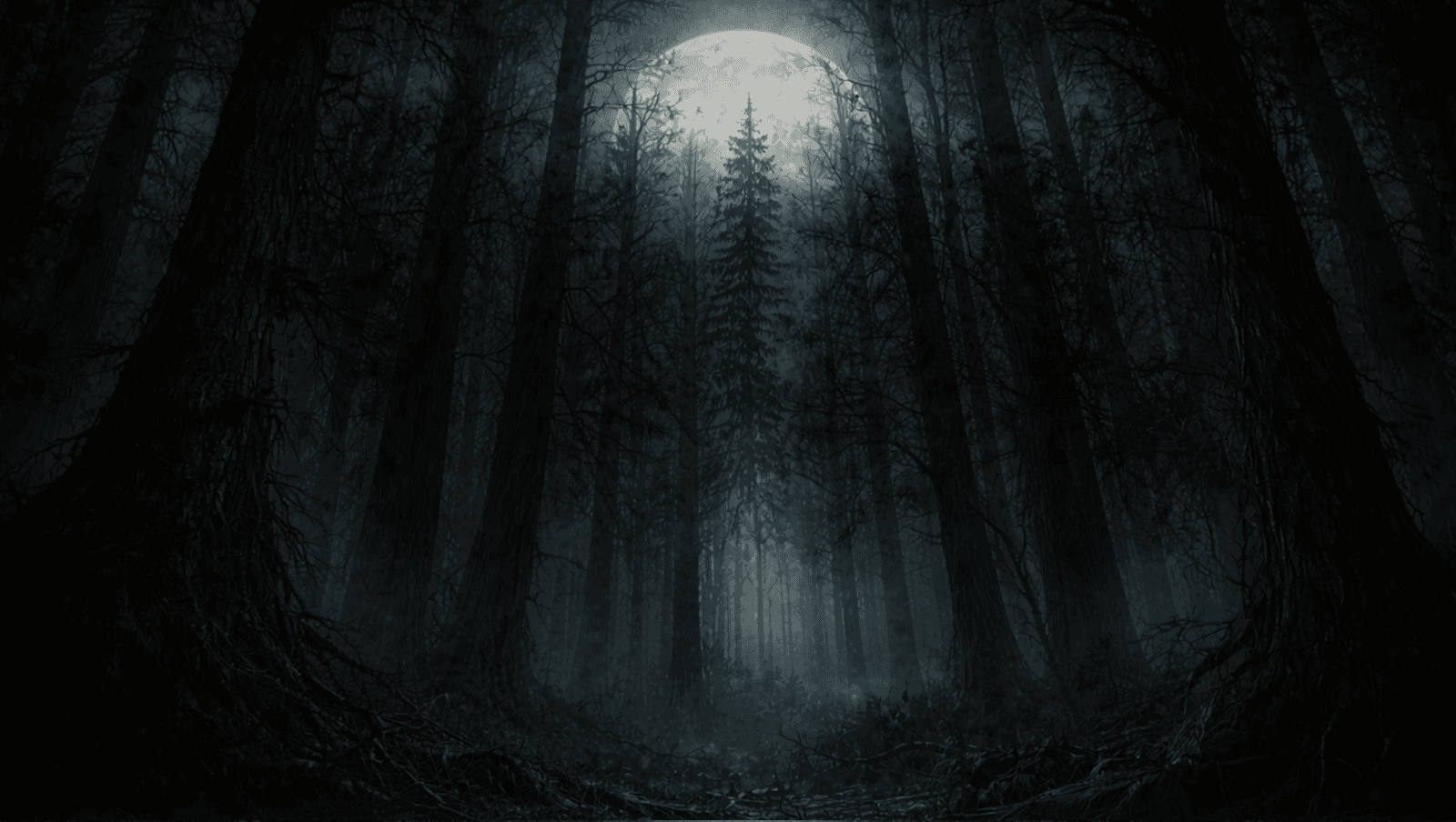 A moonlit forest clearing